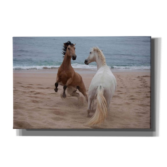 Epic Graffiti 'playtime at the beach' by Susan Friedman,, 60"x40"