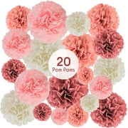 EpiqueOne 20 Piece Tissue Paper Pom Poms | Blush Pink, Dusty Rose, Mauve & Cream | Colorful Paper Flower Wall Decorations for Bridal Showers, Baby Showers, Weddings, Graduations, Tea Parties & More