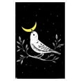 thumbnail image 1 of Episodic Drawing - Moon Bird Wall Poster, 22.375" x 34" Framed, 1 of 5