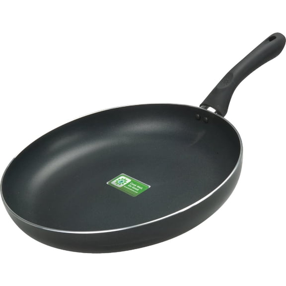 Epoca Ecolution Artistry Non-Stick Fry Pan - Single Pack
