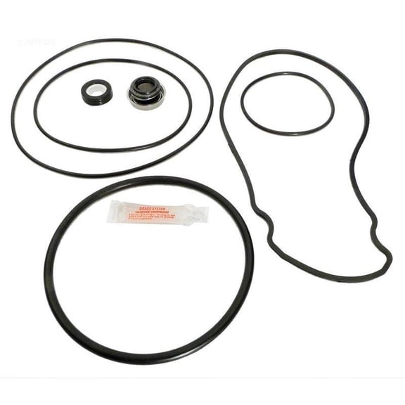 Epp APCK1027 Pentair WhisperFlo Pool Pump O-Ring Kit
