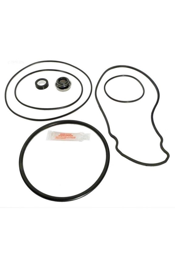 Epp APCK1027 Pentair WhisperFlo Pool Pump O-Ring Kit