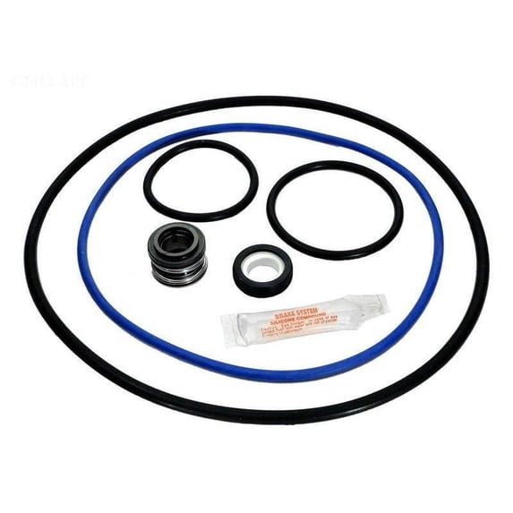 Aladdin Equipment Co Aladdin GO-KIT66 Hayward NorthStar 4000 Series Pool Pump O-Ring Kit