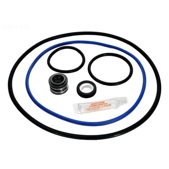 Aladdin Equipment Co Aladdin GO-KIT66 Hayward NorthStar 4000 Series Pool Pump O-Ring Kit