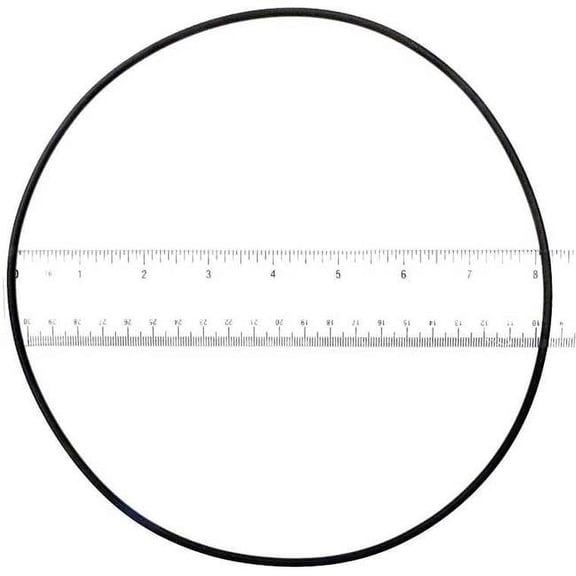 ALA-PT APCO2025 Starite Lid O-Ring