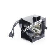 Barco NW-5 Dual Lamp 2 Projector Lamp with Module