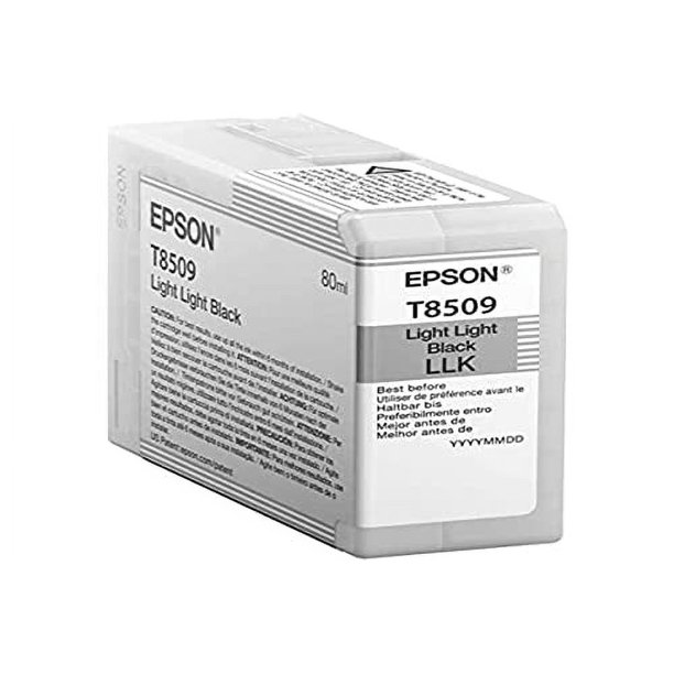 Epson T850900 T850 UltraChrome HD Light Light Black -Ink - Walmart.com