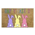 thumbnail image 1 of Easter Carrot Bunny Welcome Coco Coir Doormat Door Mat for Home House Entrance, Easter Rabbit Floor Mats for Outdoor Outside Entryway Welcome Mat, 1 of 5