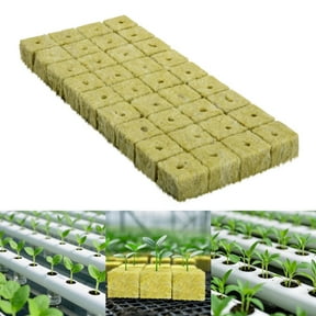 Eqslft Rockwool Cubes,Plugs Stonewool Starter Grow Cubes for Cloning, Cuttings, Propagation, Hydroponic Grow Media for Vigorous Growth(1PACK,36pcs)