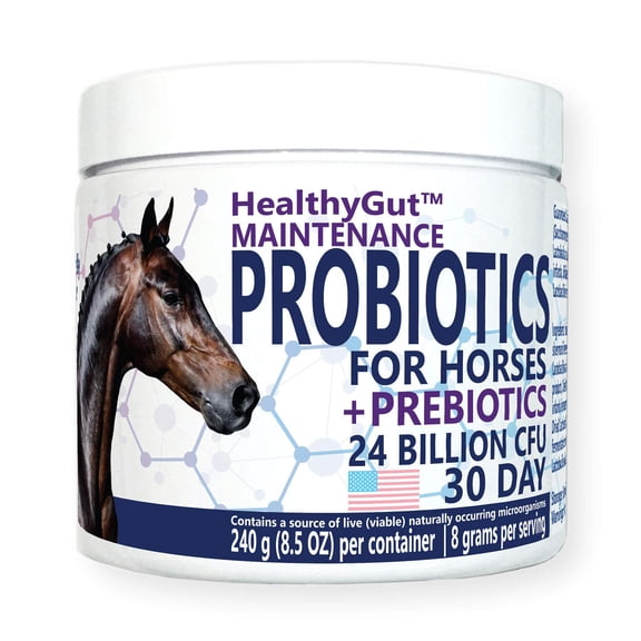 Equa Holistics HealthyGut Probiotics for Horses Dietary Supplement, All-Natural Digestive System Maintenance Formula (30 Days)