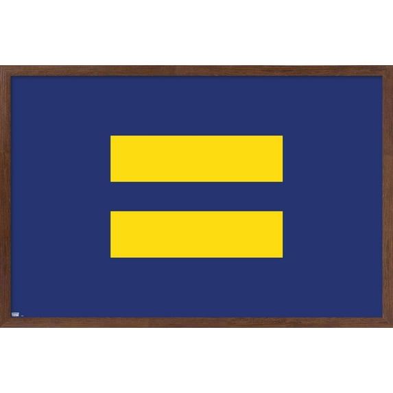 Equality Wall Poster, 22.375" x 34", Framed