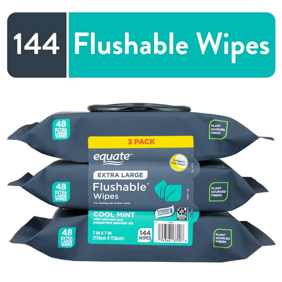 Equate Extra Large Flushable Wet Wipes, Cool Mint Scent, 144 Wipes, 3 Pack