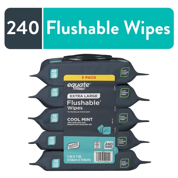 Equate Extra Large Flushable Wet Wipes, Mint, 240 Wipes (5 Pack)