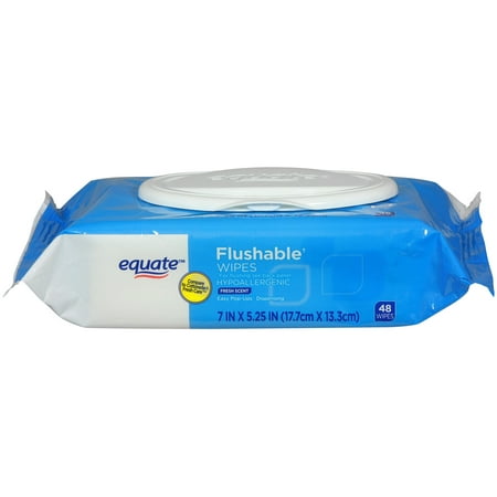 Equate Flushable Fresh Scent Wipes, 48 Count