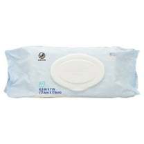 Equate Wipes, Unscented, 72 Wipes (Flip-Top Pack)