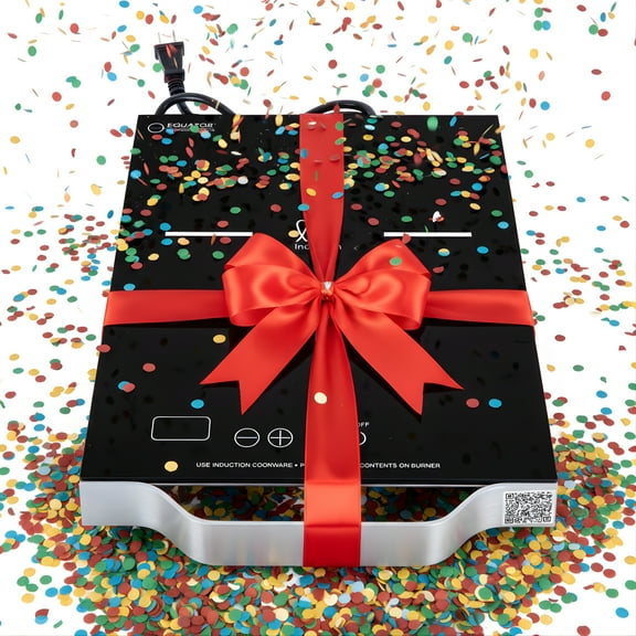 Equator 11inch Portable Single-Burner Induction Cooktop - with Handle in Black