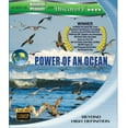thumbnail image 1 of Equator 1: Power Of An Ocean [Blu-ray], 1 of 1