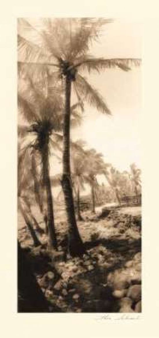 Equatorial Breeze I Canvas Art - Thea Schrack (10 x 20)