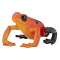 thumbnail image 1 of Equatorial Red Frog, 1 of 1