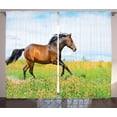 thumbnail image 1 of Ambesonne Animal Curtains 2 Panel Set, Horse Rural Flowers, 108" x 108", Green Brown Pale Blue, 1 of 3