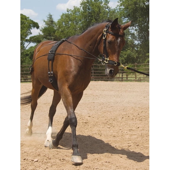 Equestrian Mustang Balance Training Bridle and Bits