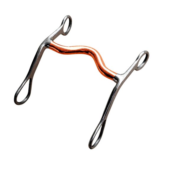 Equestrians Horse Bit for Bridle and Rein Setups, Stainless Steel Construction with a Curved Mouthpieces and Polishing Two-Tone Finish