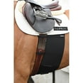 thumbnail image 1 of EquiFit Belly Band for Spur Protection Horse, 1 of 2