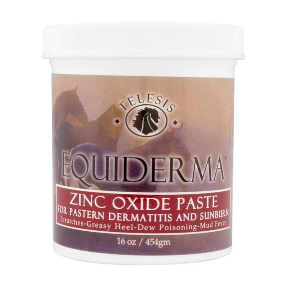 Equiderma Zinc Oxide Paste For Dermatitis & Sunbrn