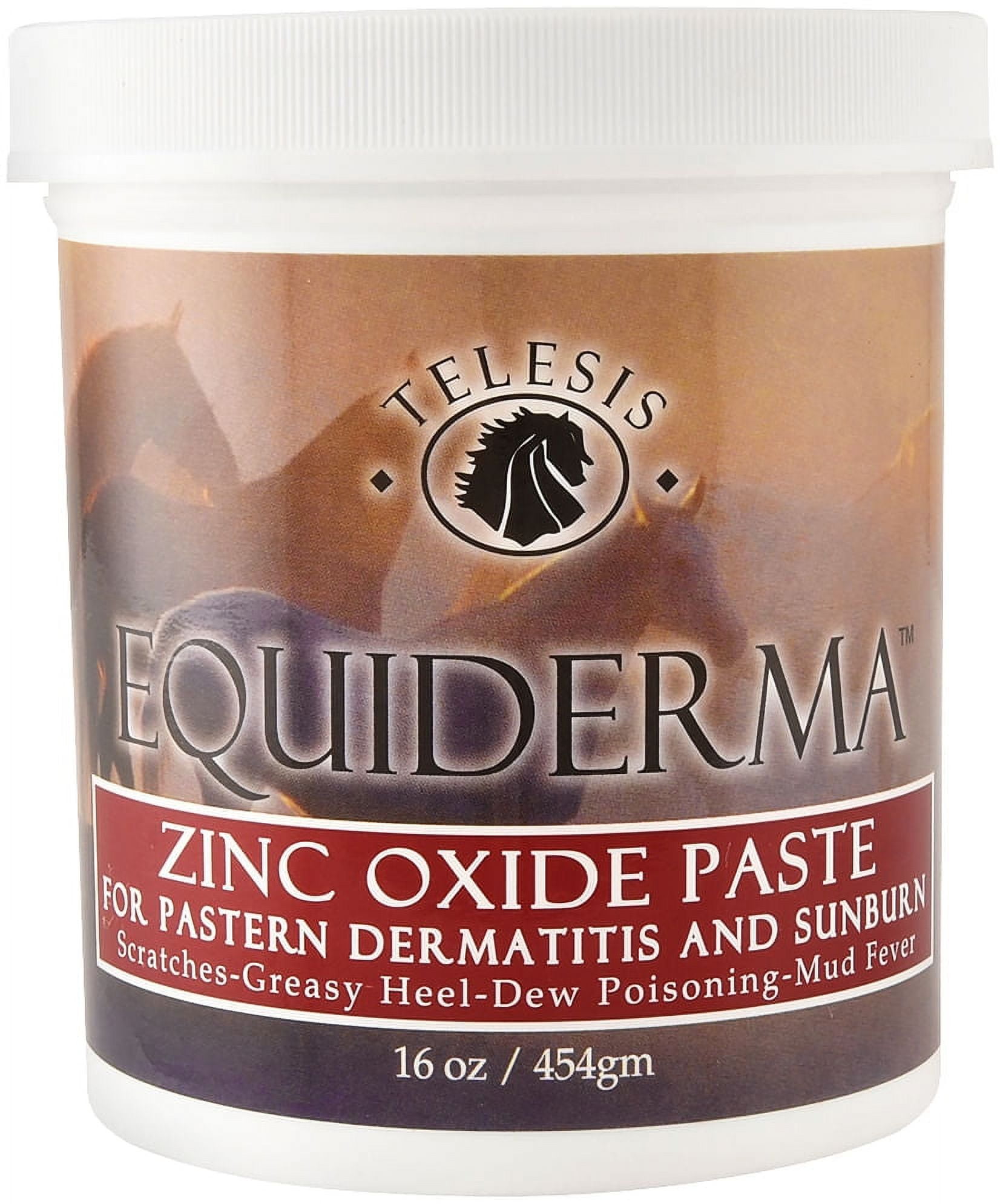 EquidermaBci Equiderma Zinc Oxide Paste 16oz
