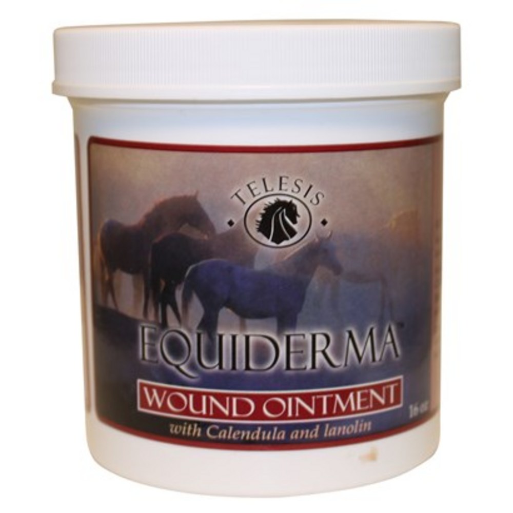 Equiderma Wound Ointment for Horses, 16 oz