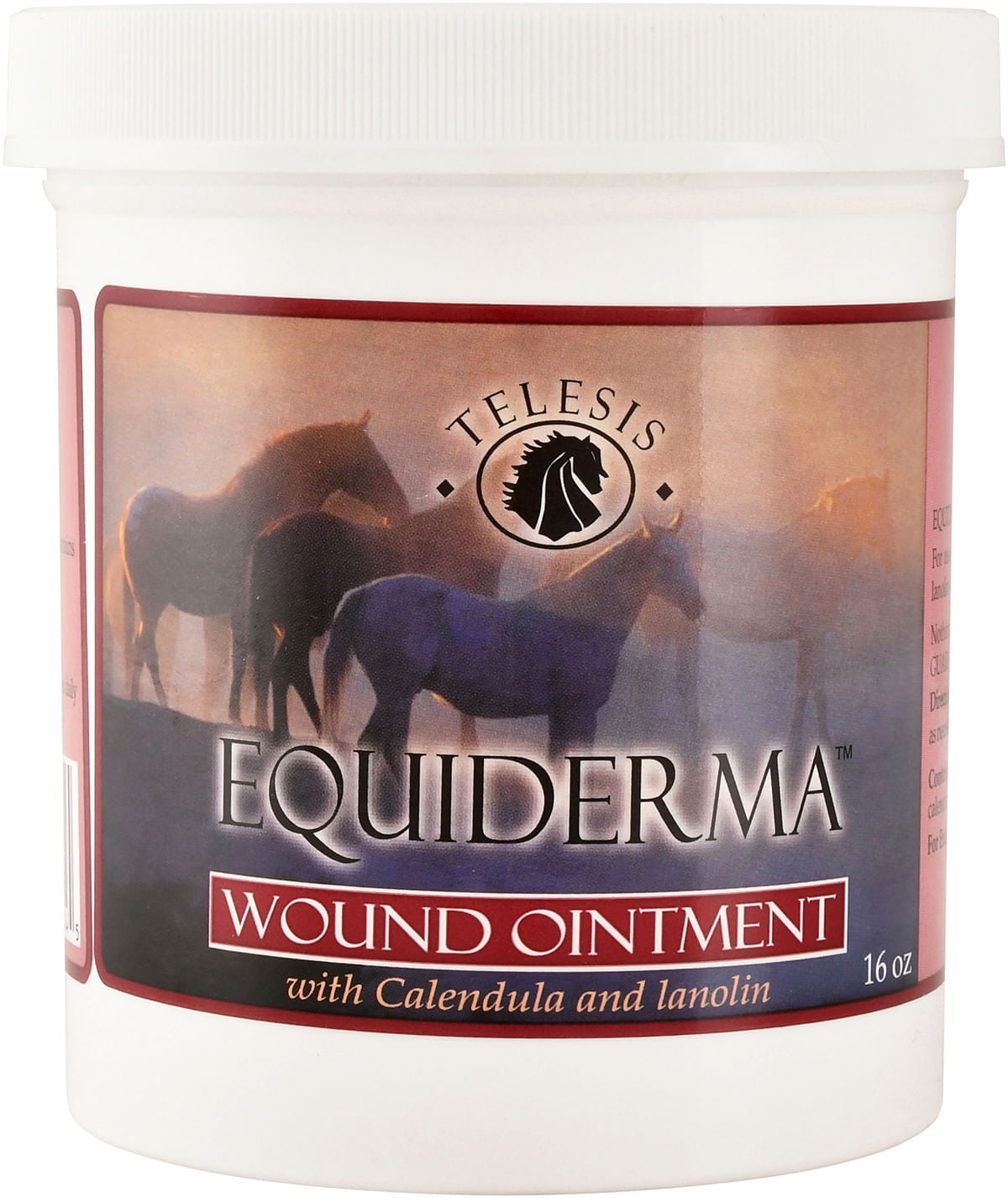Equiderma Wound Ointment for Horses, 16 oz