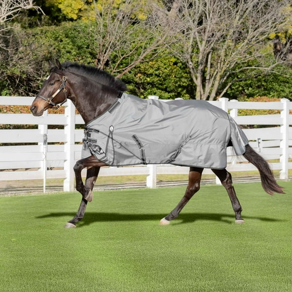 Equinavia Arktis Regular Neck Light Weight Turnout Blanket 100g