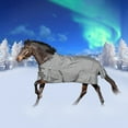 thumbnail image 1 of Equinavia Arktis Regular Neck Mid Weight Turnout Blanket 200g, 1 of 7
