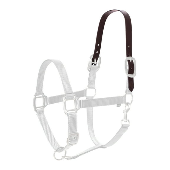 Equinavia Breakaway Halter Replacement Crown Piece