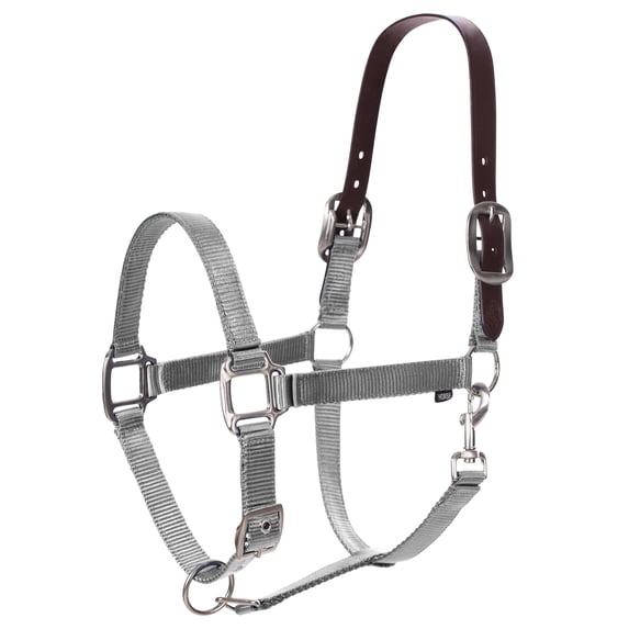 Equinavia Loki Adustable Breakaway Horse Halter