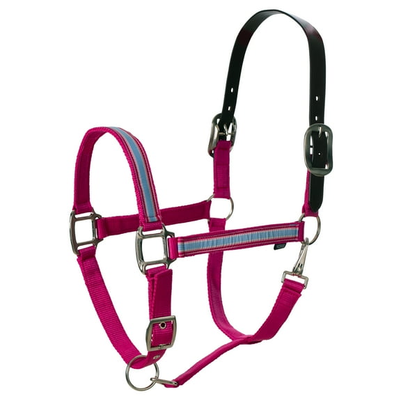 Equinavia Pegasus Adustable Breakaway Horse Halter