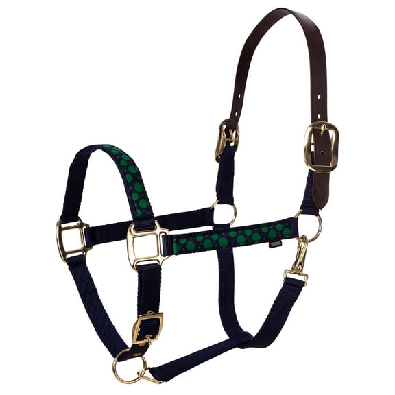 Equinavia Pegasus Ribbon Breakaway Halter Full Blu