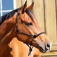 thumbnail image 1 of Equinavia Rope Halter, 1 of 1