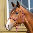 thumbnail image 1 of Equinavia Rope Halter, 1 of 2
