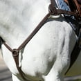 thumbnail image 1 of Equinavia Saga 5-point Breastplate, 1 of 6
