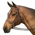 thumbnail image 1 of Equinavia Saga Adjustable Padded Fancy Stitched Hunter Bridle with Reins, 1 of 10