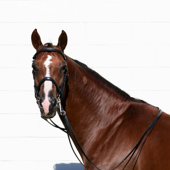 Equinavia Saga Double Bridle w/ Reins