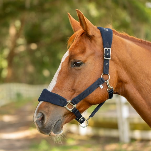 Equinavia Saga Fleece Padded Breakaway Halter