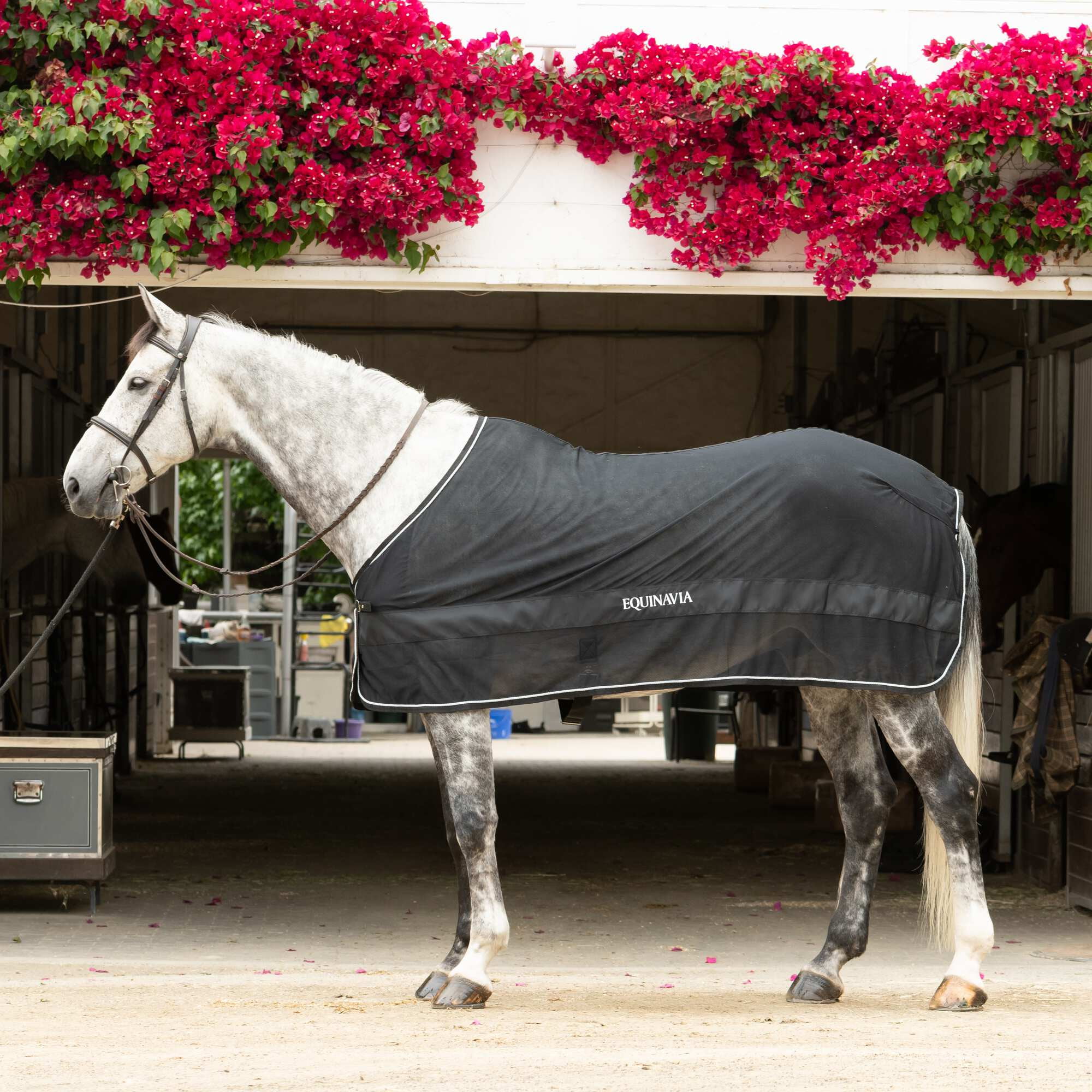 Equlne Narcsop Horse Scrm Sheet | Equluxe Tack | São tomé and