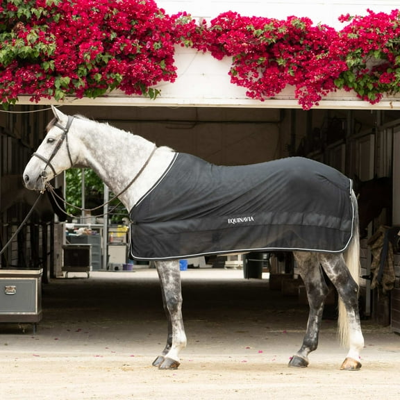 Equinavia Sol Ringside Mesh Scrim Show Sheet for Horses