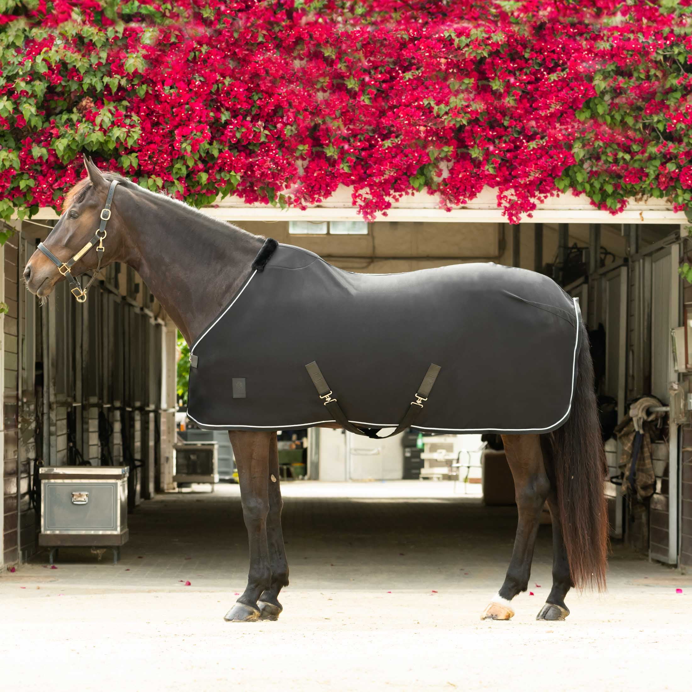 Equinavia Torr Quick Dry Fleece Horse Cooler Blanket Liner with Wither Relief