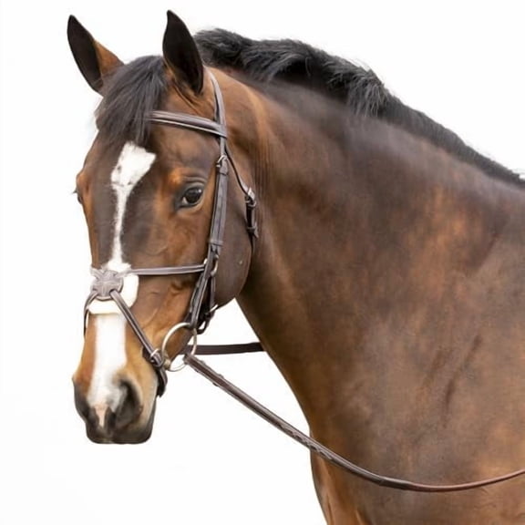 Equinavia Valkyrie Fancy Stitched Padded Figure 8 Bridle with Reins