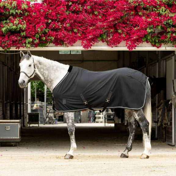 Equinavia Vind Lightweight Stable Blanket for Horses | No Fill Sheet with Wither Relief
