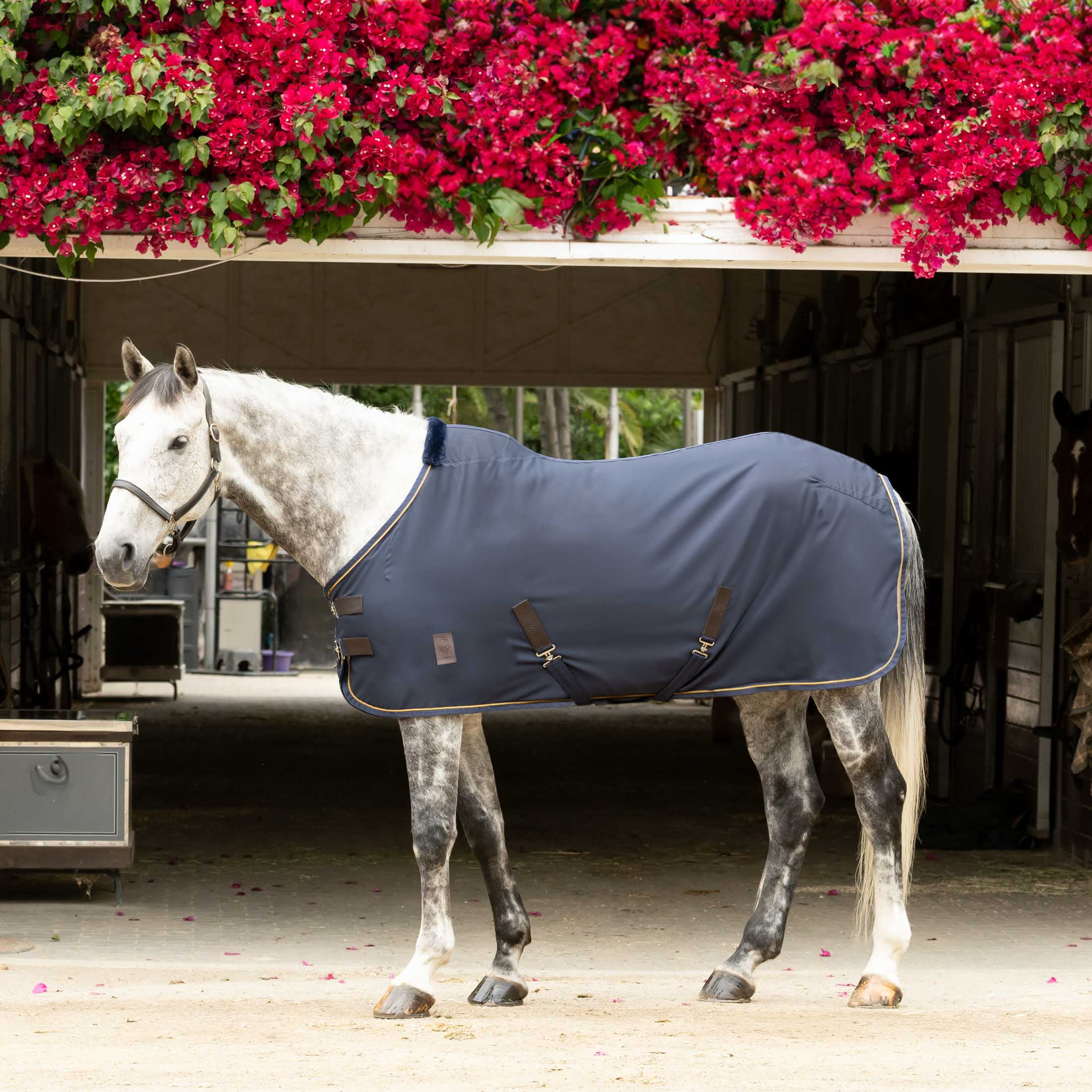 Equinavia Vind Lightweight Stable Blanket for Horses No Fill Sheet