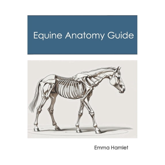 Equine Anatomy Revision Guide, (Paperback)
